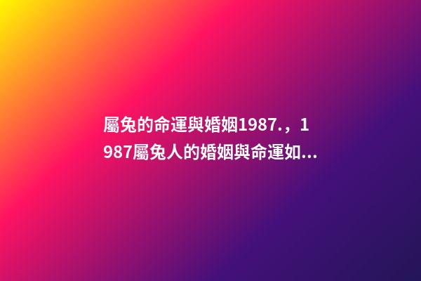 屬兔的命運與婚姻1987.，1987屬兔人的婚姻與命運如何 87年屬兔35歲2022婚姻
